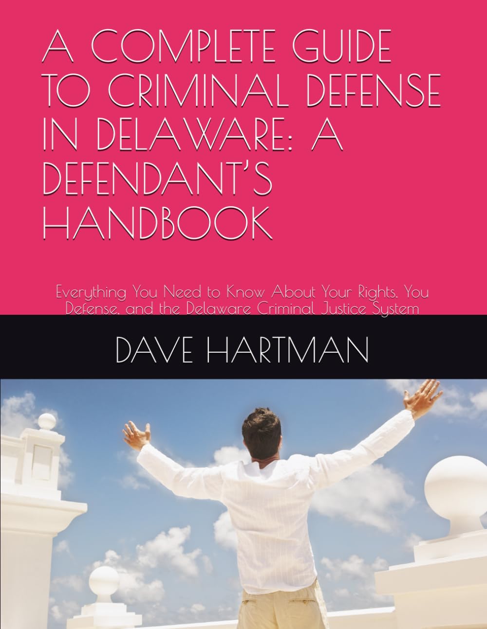 A Complete Guide to Criminal Defense in Delaware: A DEFENDANT'S HANDBOOK: Everything You Need to Know About Your Rights, You Defense, and the Delaware Criminal Justice System baixar livro de graça
