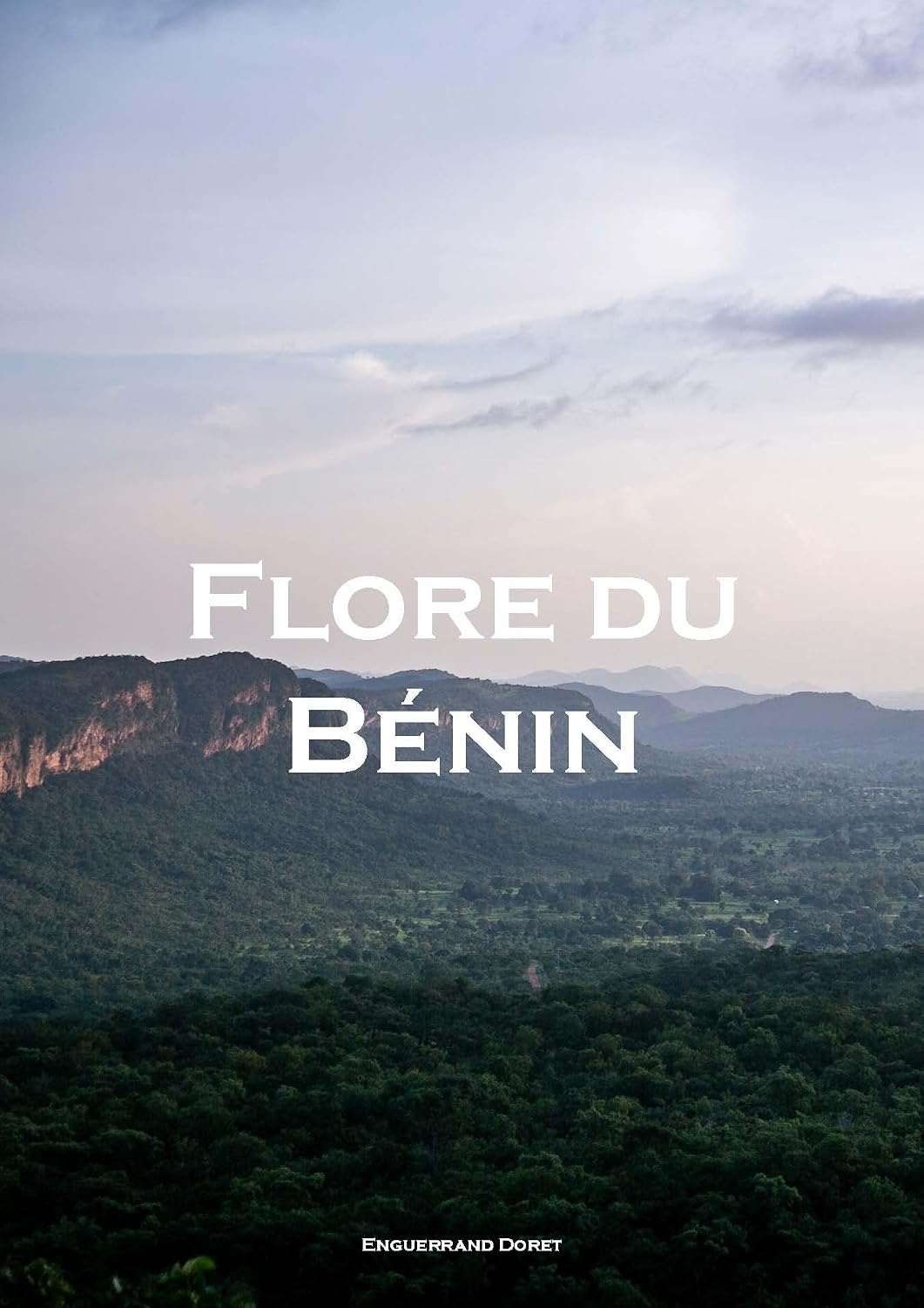 ler totalmente FLORE DU BENIN (French Edition)