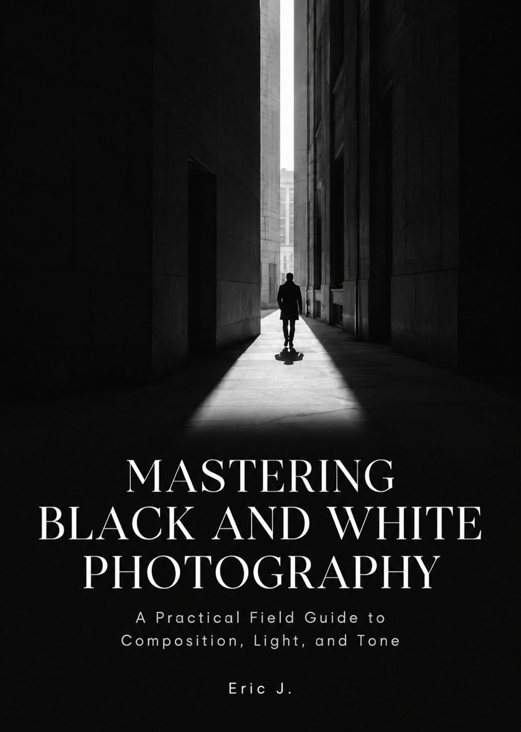 capítulo por capítulo baixar Mastering Black and White Photography: A Practical Field Guide to Composition, Light, and Tone (English Edition)