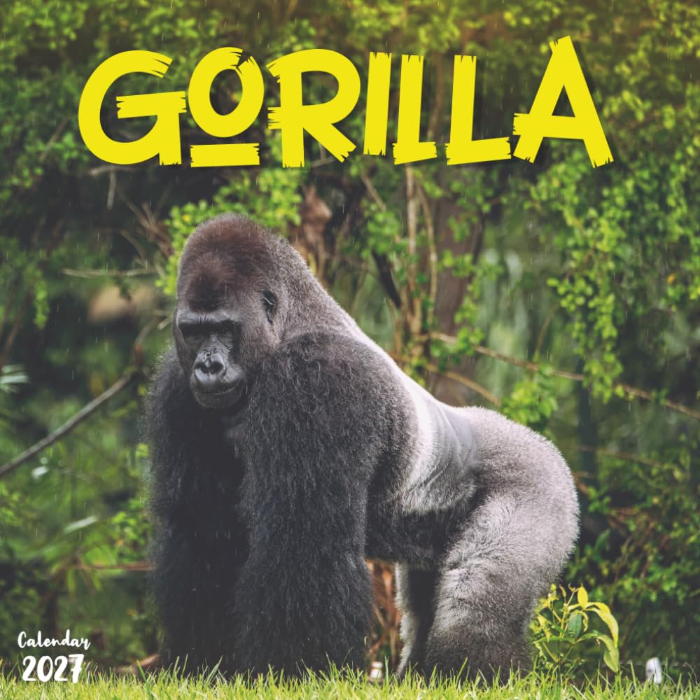 Gorilla 2027 Calendar: 12 Months of Great Apes in Their Natural Habitat