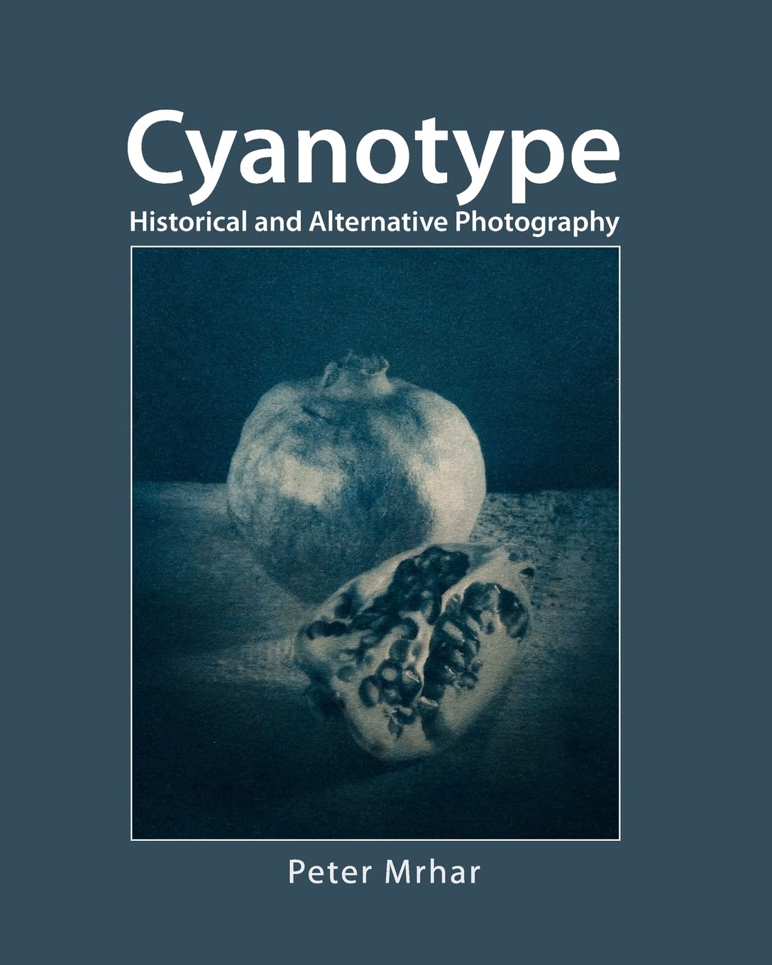 ler totalmente Cyanotype: Historical and Alternative Photography
