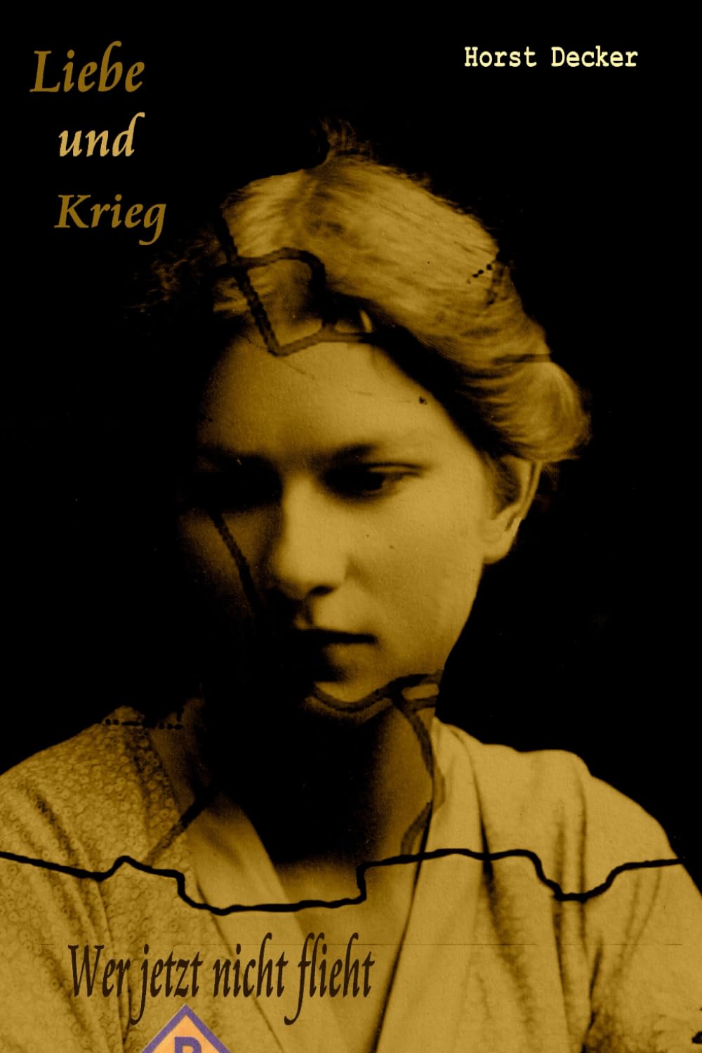 ler totalmente Liebe und Krieg: Wer jetzt nicht flieht (Lieben und Krieg) (German Edition)