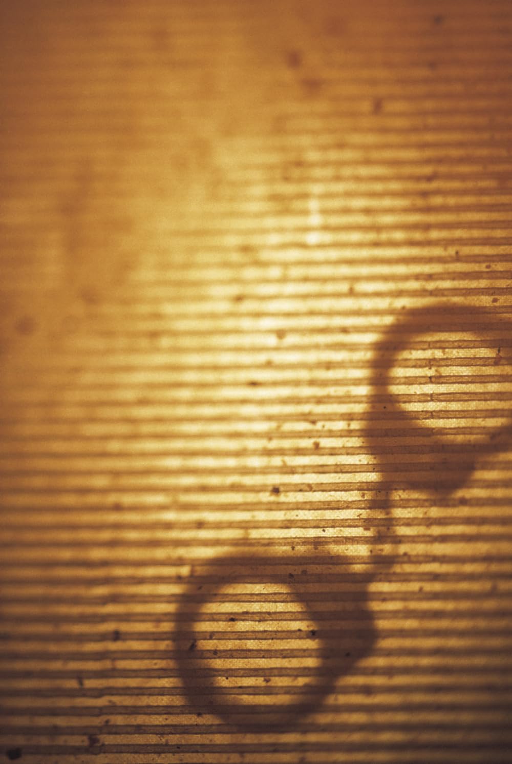 ler totalmente History of Law: From Ancient Custom to Courts, Constitutions, Human Rights, Artificial Intelligence, Climate Justice, and the Future of Civilization