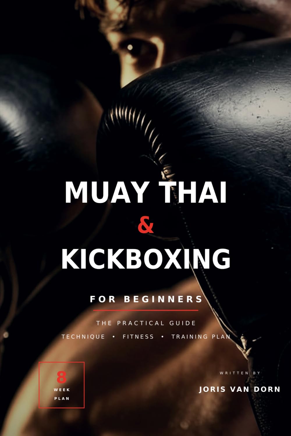 Muay Thai and Kickboxing: A Beginner’s Guide to Training, Technique, Equipment, Fitness, and Your First 8 Weeks baixar livro de graça