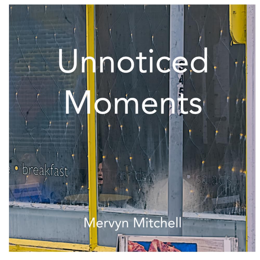 ler totalmente Unnoticed Moments