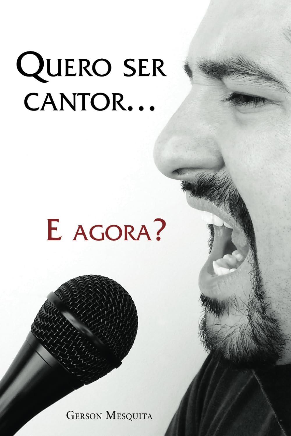 Quero ser cantor... E agora? (Portuguese Edition) baixar livro de graça