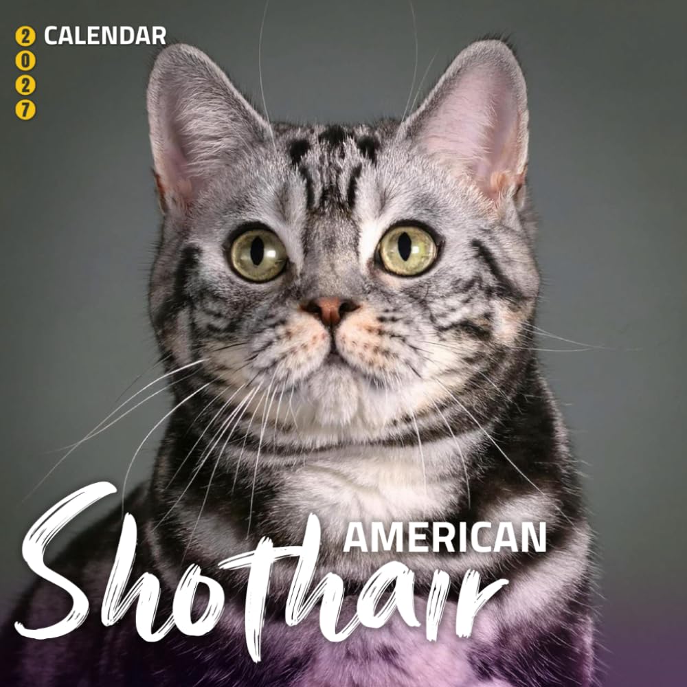 capítulo por capítulo baixar American Shorthair Cats Calendar 2027: Charming Felines and Everyday Cat Moments