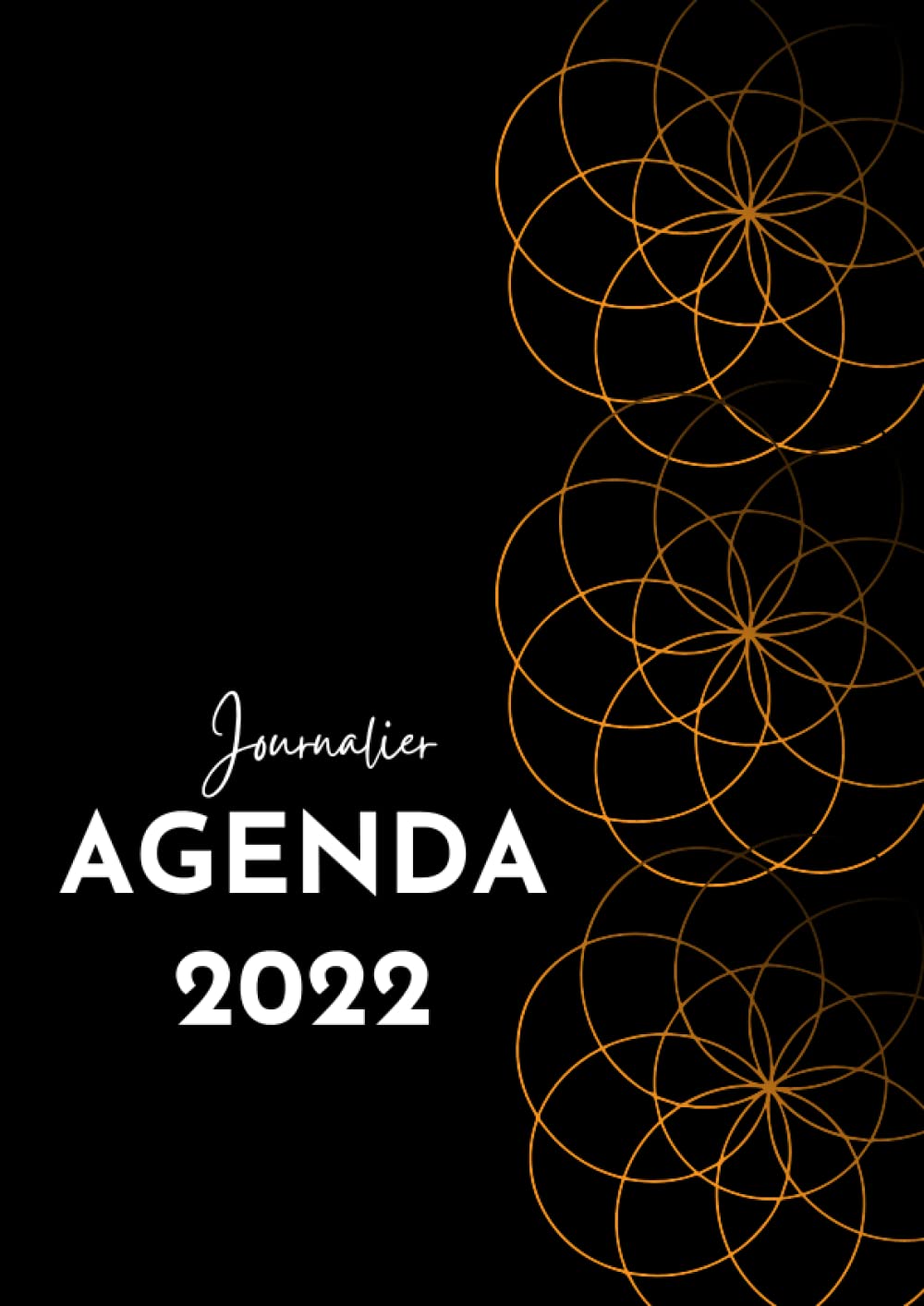 agenda 2022 journalier 2 pages par jour xxl: planificateur journalier et mensuel avec heure 2022 français (French Edition) baixar o livro de graça