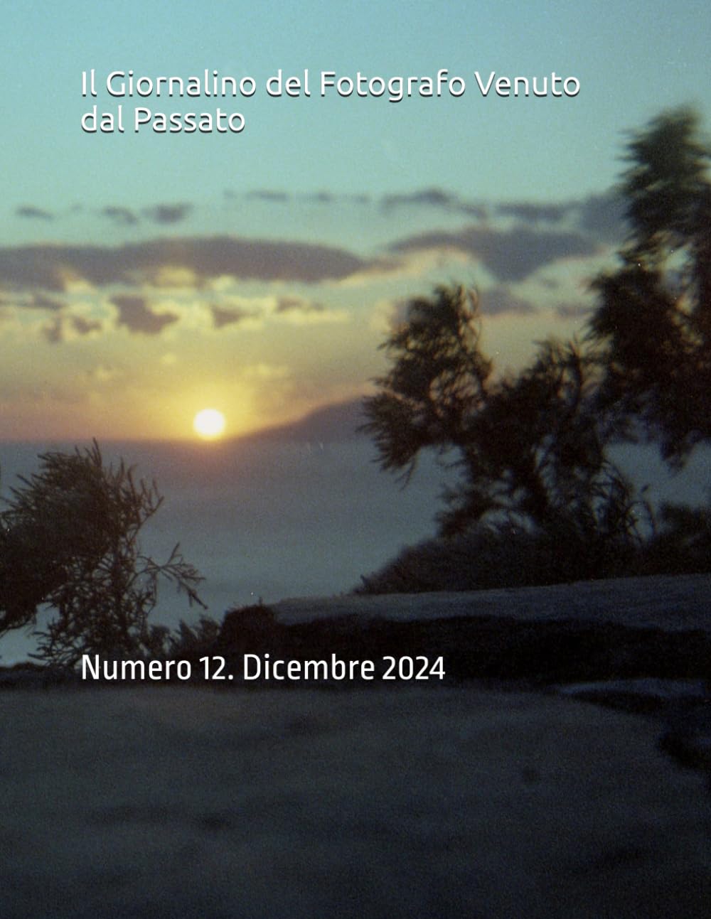 Il Giornalino del Fotografo Venuto dal Passato: Numero 12. Dicembre 2024 baixar o livro de graça