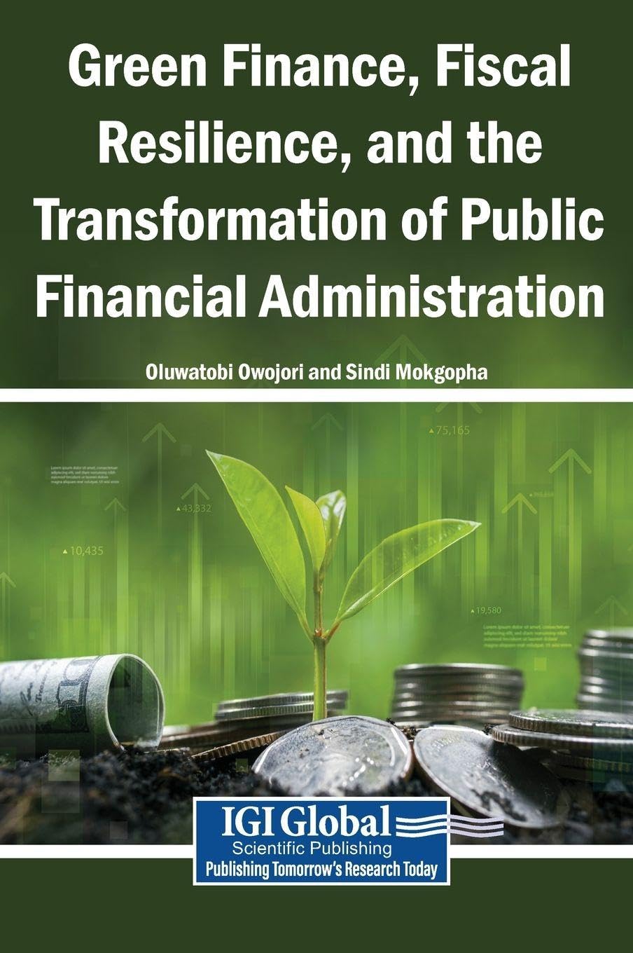 Green Finance, Fiscal Resilience, and the Transformation of Public Financial Administration baixar o livro de graça