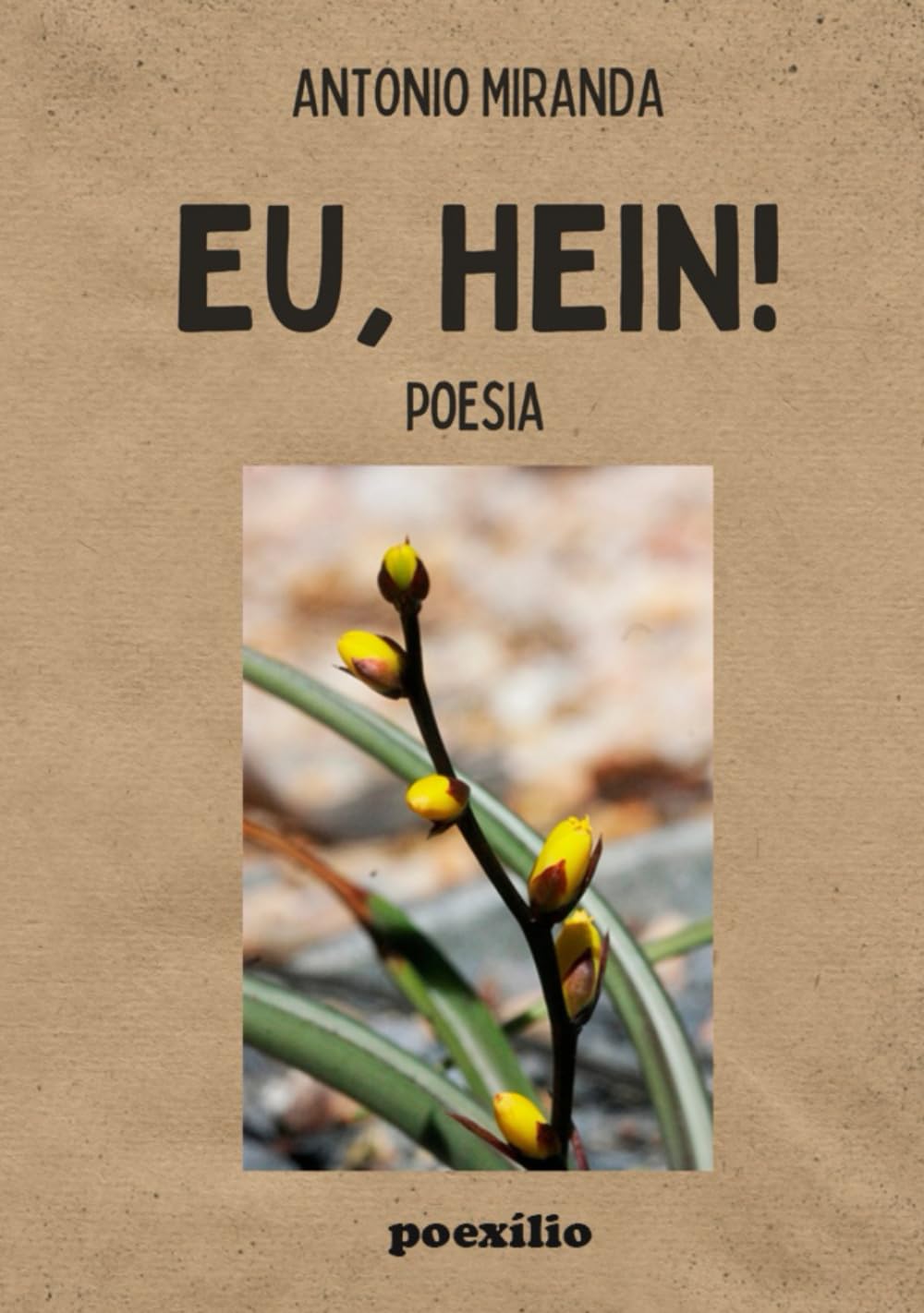 ler totalmente EU, HEIN!: poesia (Portuguese Edition)