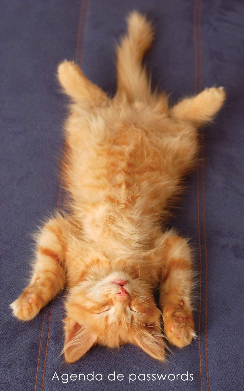 ler totalmente Agenda de passwords: Agenda para endereços electrónicos e passwords - Capa gatinho ruivo a relaxar: 11