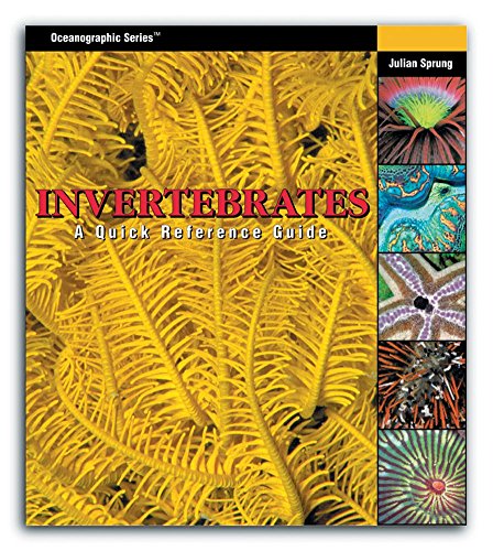 Invertebrates: A Quick Reference Guide baixar o livro de graça