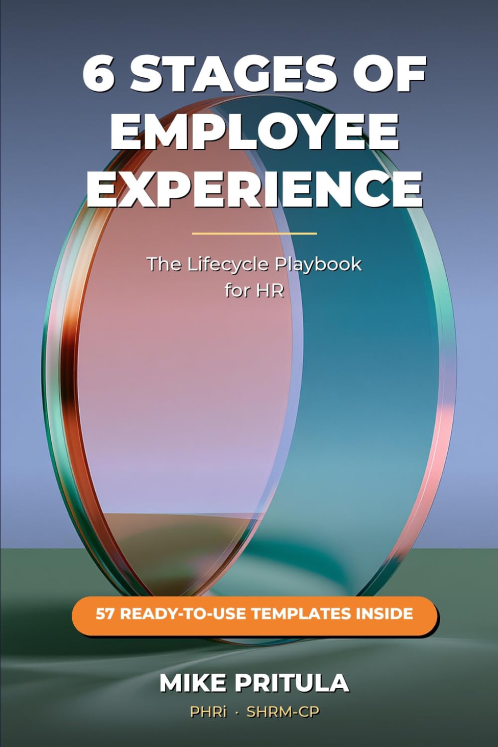 6 Stages of Employee Experience: The Lifecycle Playbook for HR baixar o livro de graça