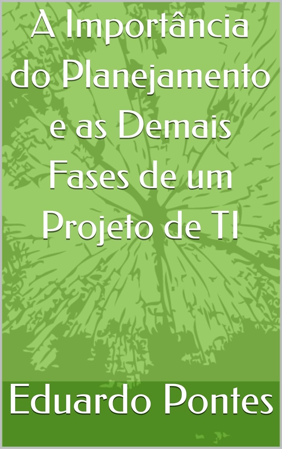 ler totalmente A Importância do Planejamento de demais fases de um Projeto de TI.