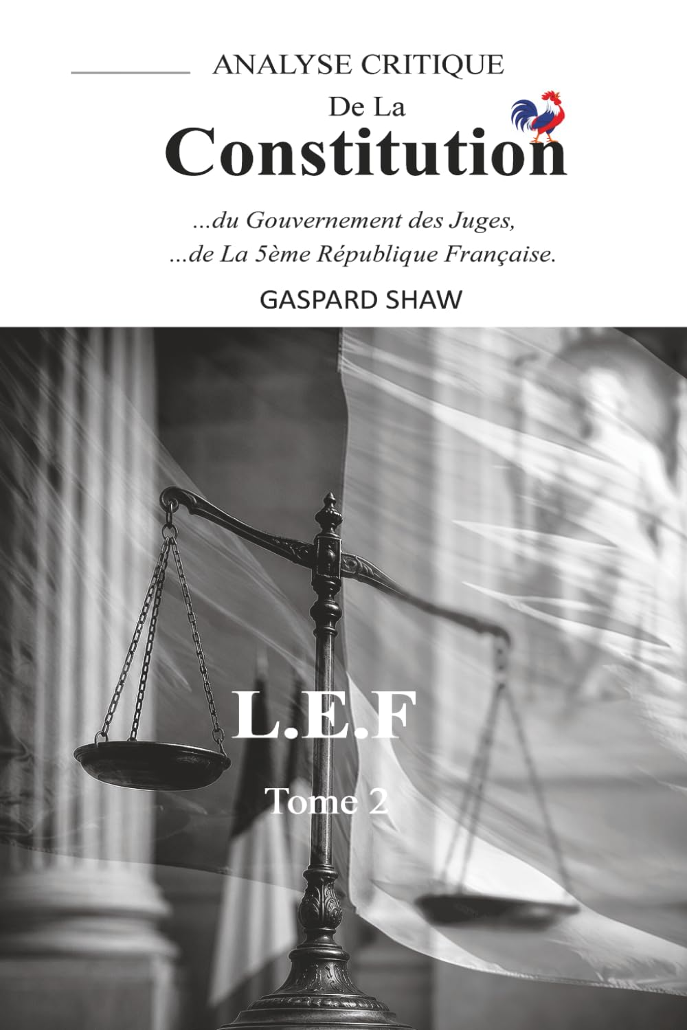 Analyse Critique de la Constitution de la Ve République Française et du Gouvernement des Juges-Tome 2 (Critical Analysis of the Constitution of the... enferme la démocratie ? (French Edition) baixar livro de graça