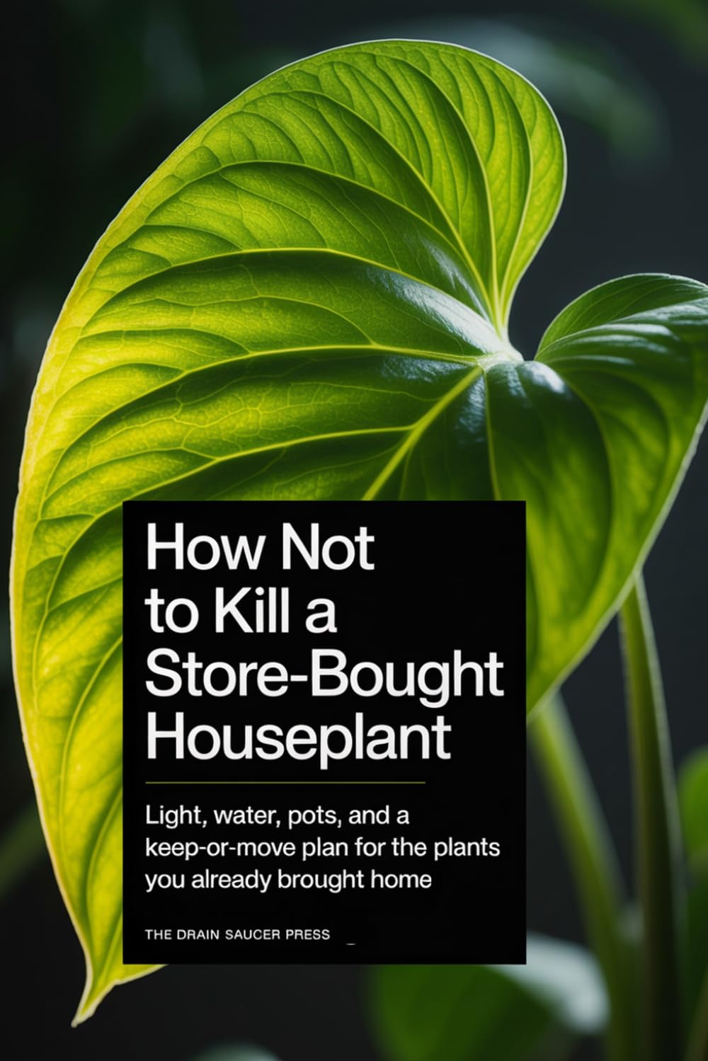 capítulo por capítulo baixar How Not to Kill a Store-Bought Houseplant: Light, water, pots, and a keep-or-move plan for the plants you already brought home