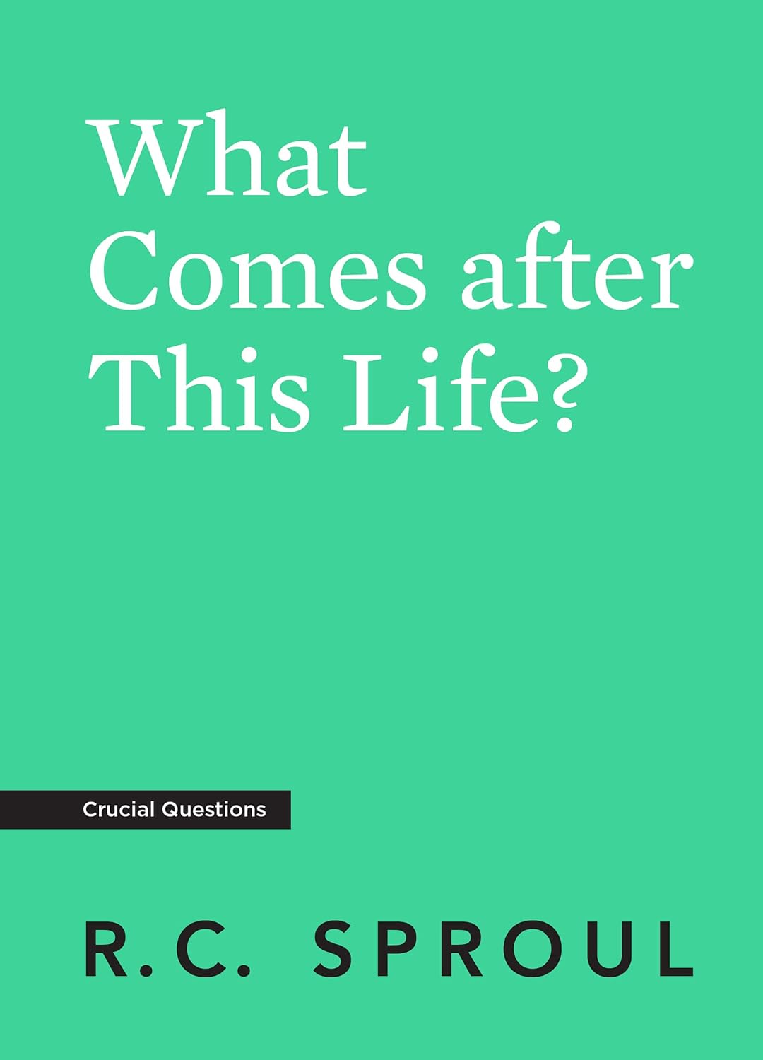 What Comes After This Life? baixar livro de graça