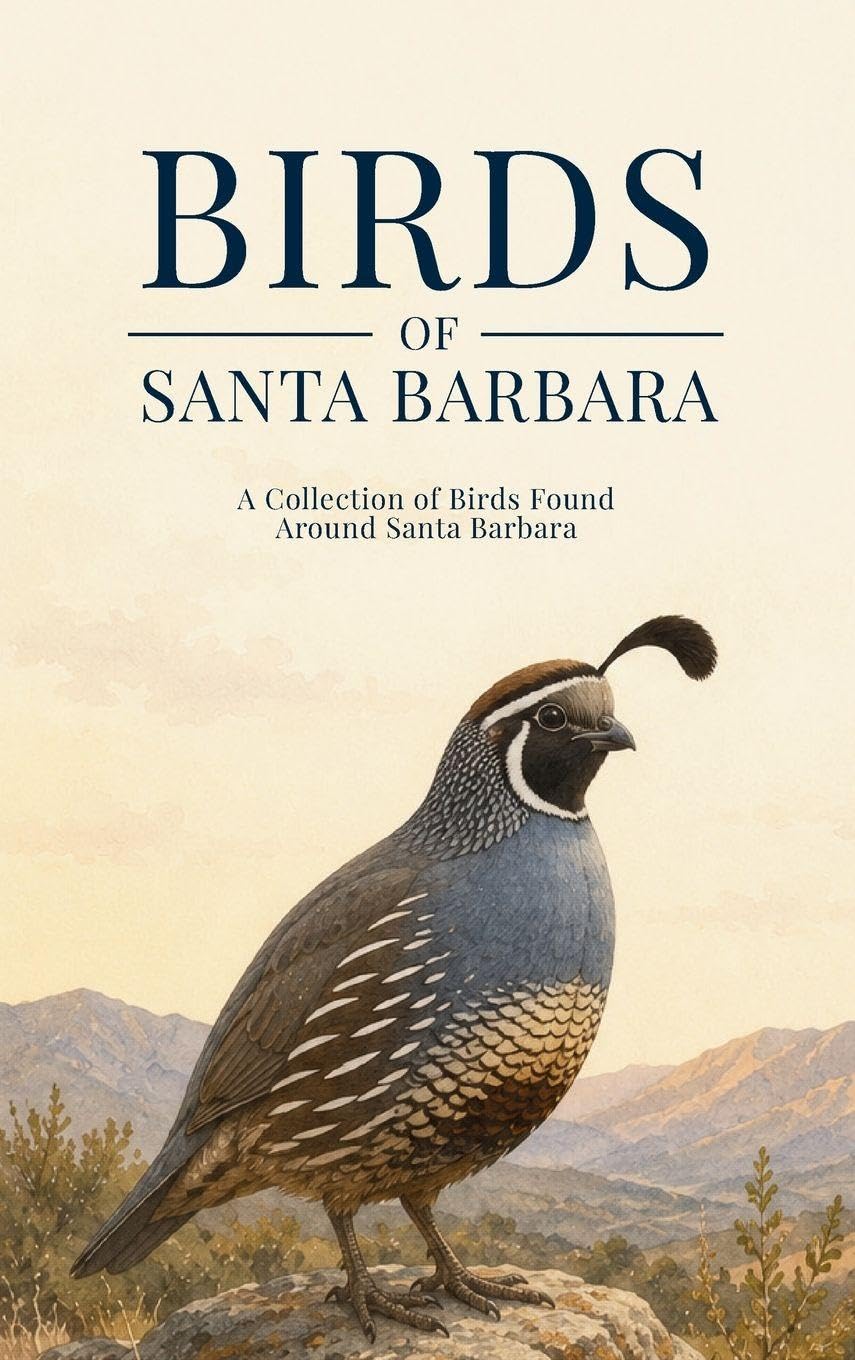 Birds of Santa Barbara: A Collection of Birds Found Around Santa Barbara baixar livro de graça