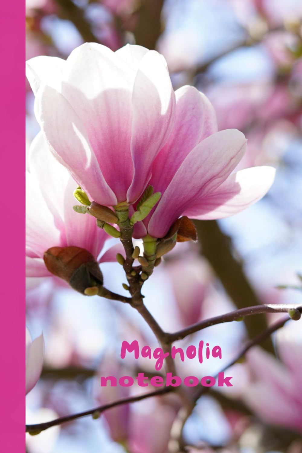Magnolia Notebook: Blank and lined pages for mindful writing and doodling baixar livro de graça