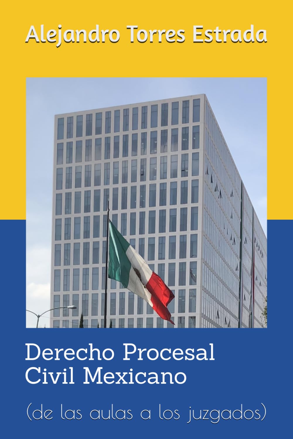 Derecho Procesal Civil Mexicano: (de las aulas a los juzgados) baixar livro de graça