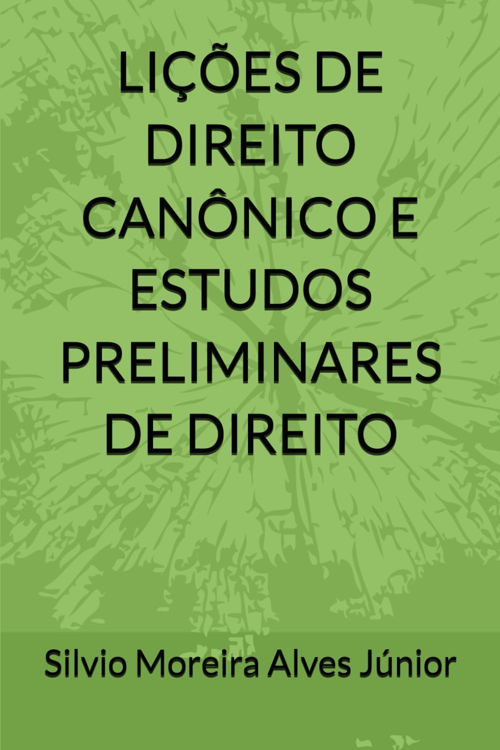 Lições de Direito Canônico e Estudos Preliminares de Direito (Portuguese Edition) baixar o livro de graça