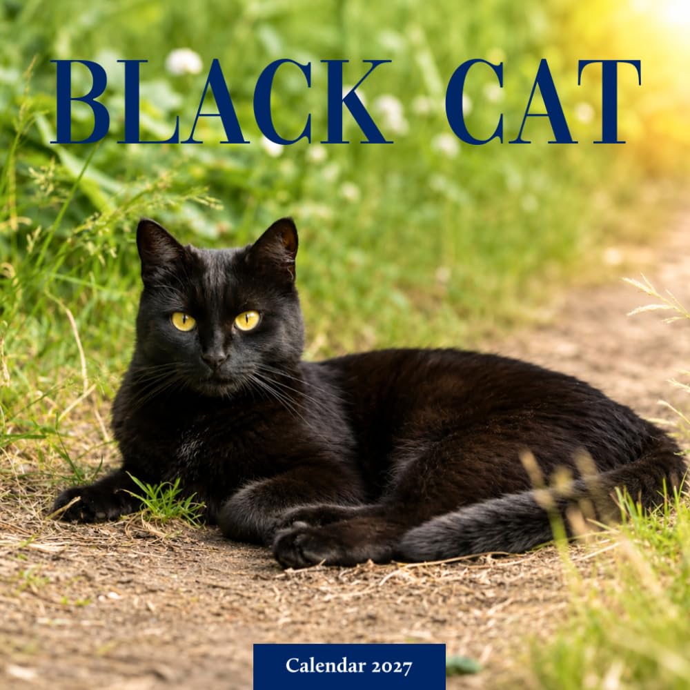 capítulo por capítulo baixar Black Cats Calendar 2027: Black Cat Photography