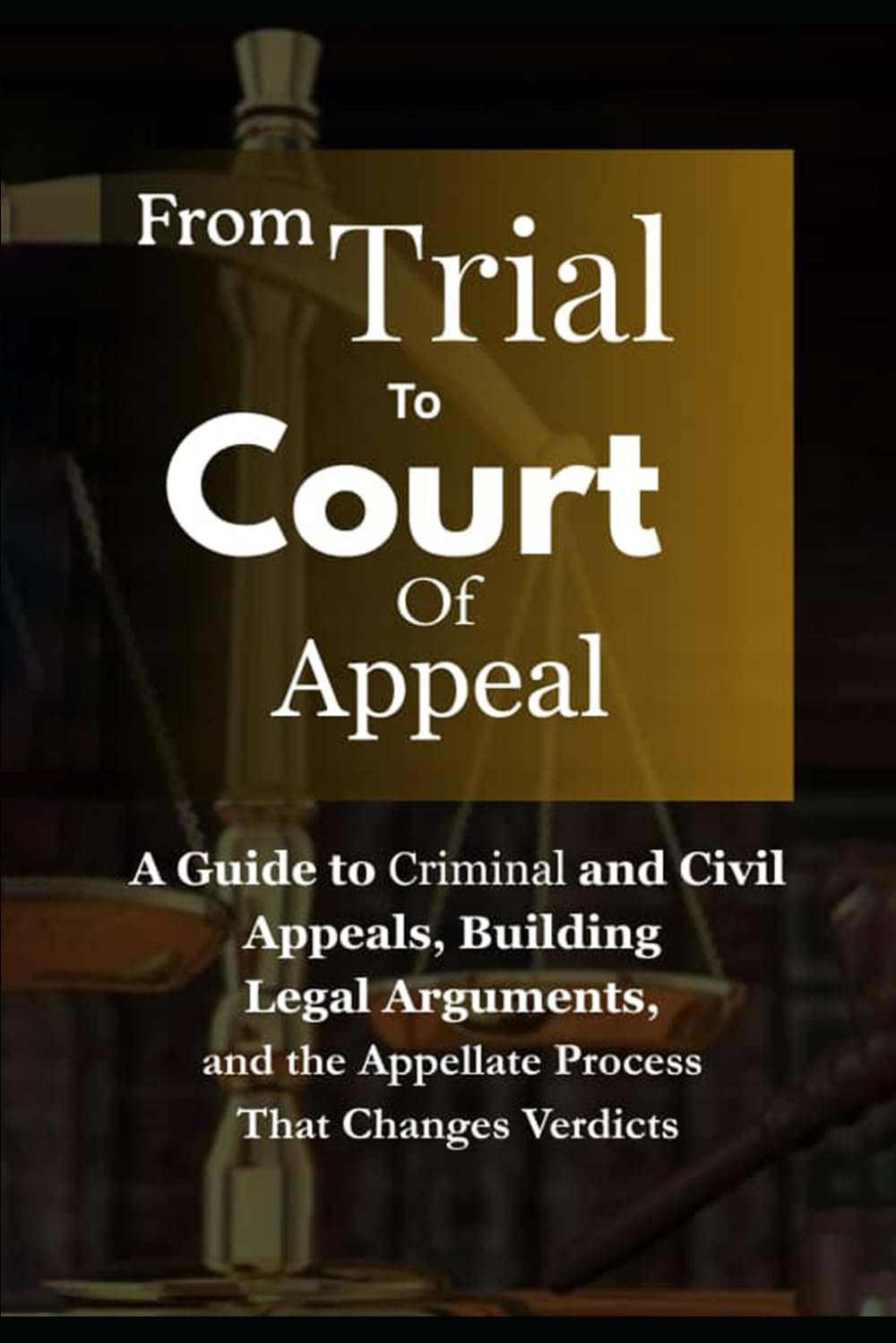 ler totalmente From Trial To Court Of Appeal: A Guide to Criminal and Civil Appeals, Building Legal Arguments, and the Appellate Process That Changes Verdicts