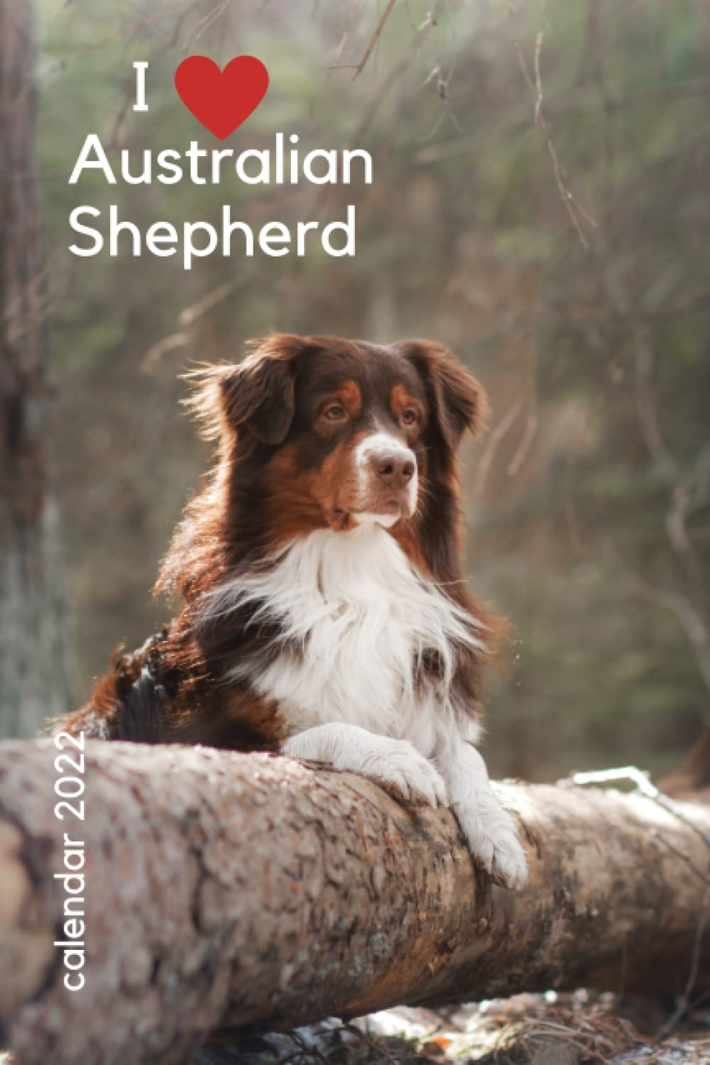I love Australian Shepherd. Calendar 2022: For dog lovers for Christmas Covers the entire year | monthly planner notebook | quarterly daily of my... New Year's thematic journal, paperback, write baixar o livro de graça