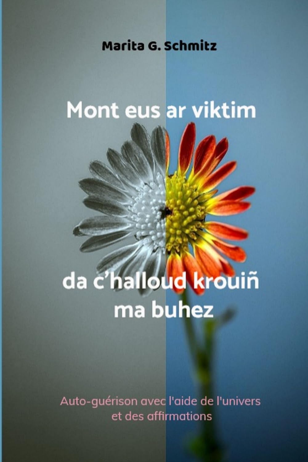 Mont eus ar viktim da c'halloud krouiñ ma buhez: Em yac'haat gant skoazell an hollved hag an kadarnaat (Breton Edition) baixar livro de graça
