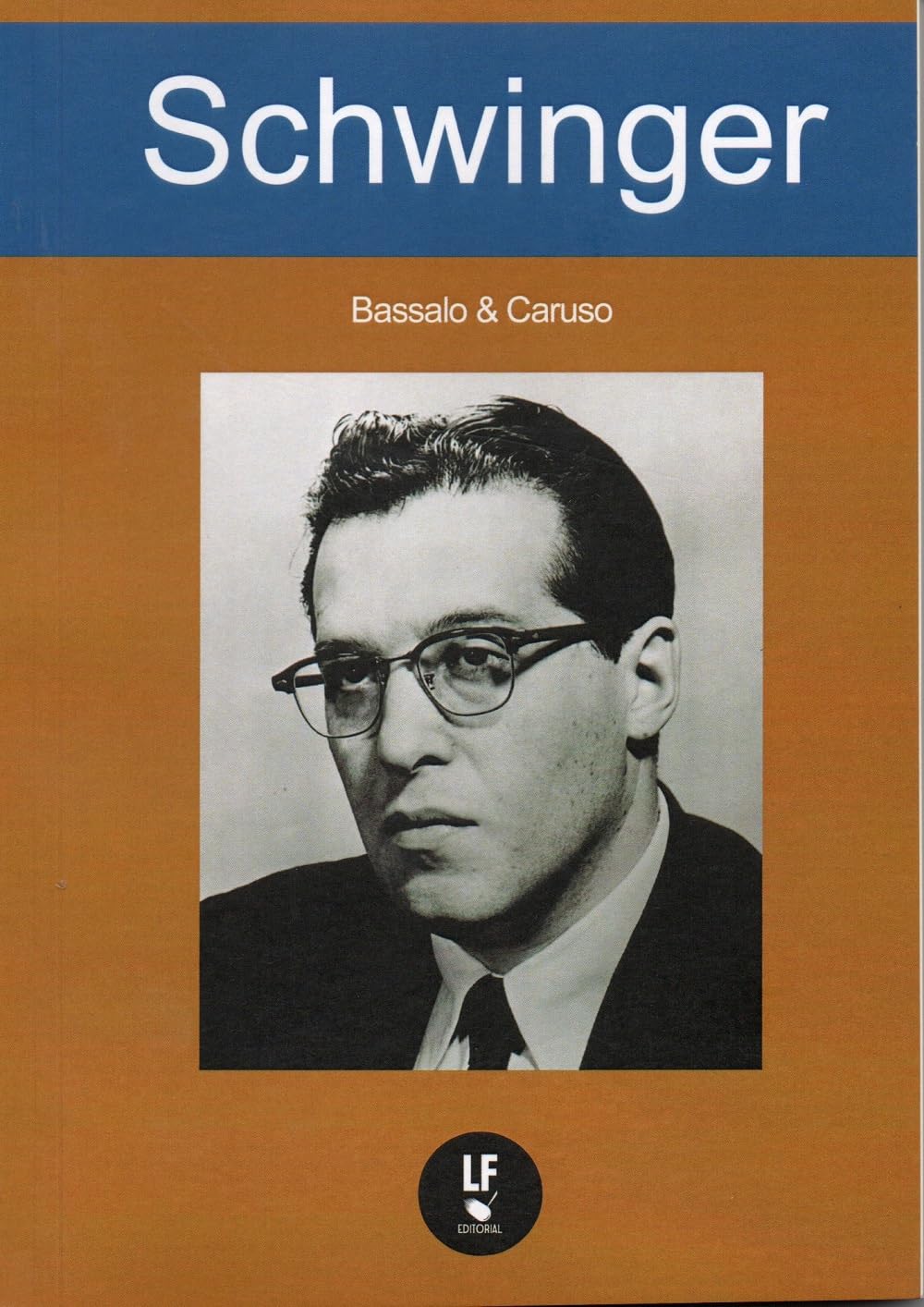 Schwinger baixar livro de graça