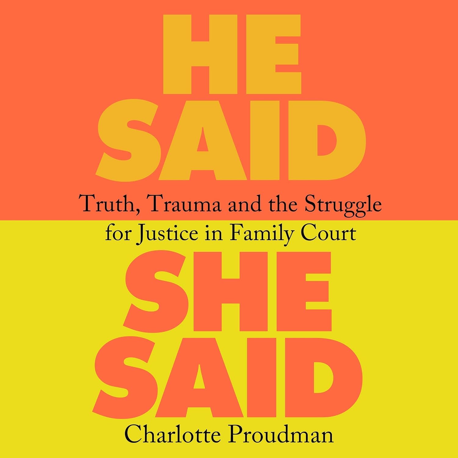He Said, She Said: Truth, Trauma and the Struggle for Justice in Family Court baixar o livro de graça