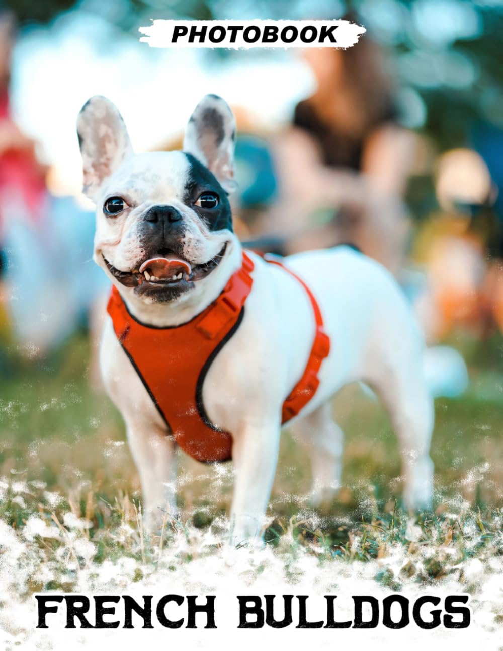 ler totalmente French Bulldogs Photo Book: Small Bully Breed Images Featuring Wrinkled Faces And Playful Companion Moments In Pet Photography