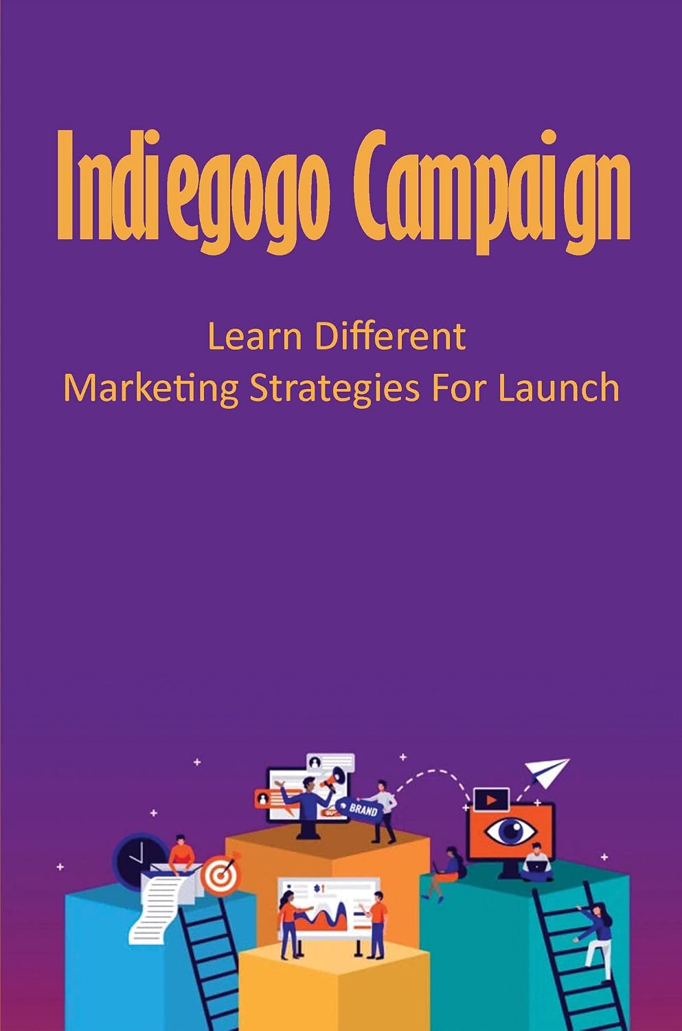 ler totalmente Indiegogo Campaign: Learn Different Marketing Strategies For Launch (English Edition)