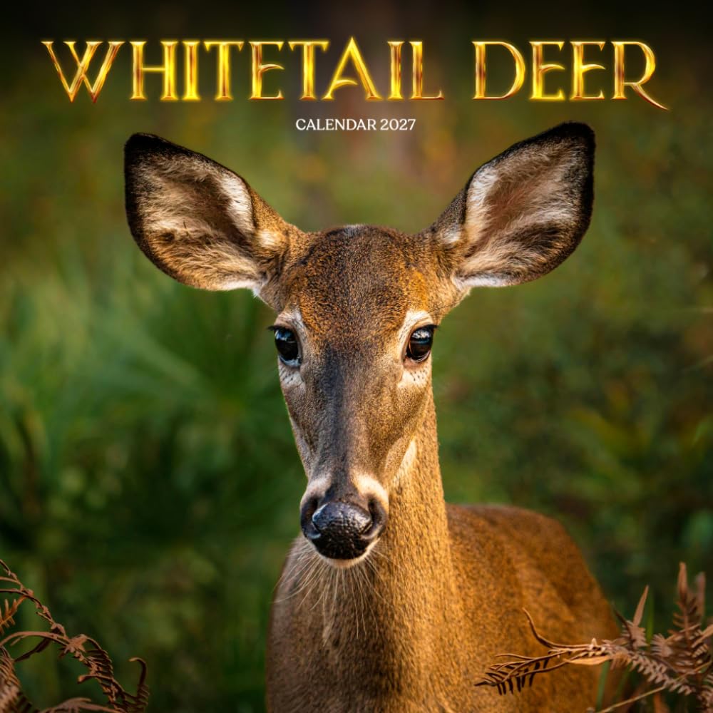 Whitetail Deer Calendar 2027: Wildlife and Natural Habitat Scenes