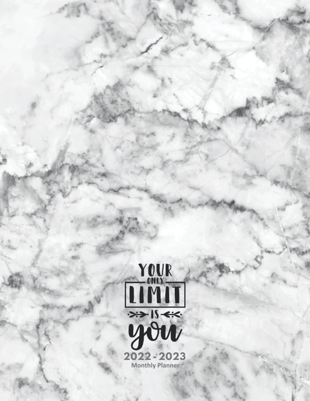 Monthly Planner 2022-2023: 2 Year Monthly Planner, Calendar 2022 2023, January 2022 to December 2023 (24 Months), 8.5 x 11 in, Federal Holiday, Inspirational Quotes, White Marble Cover baixar o livro de graça