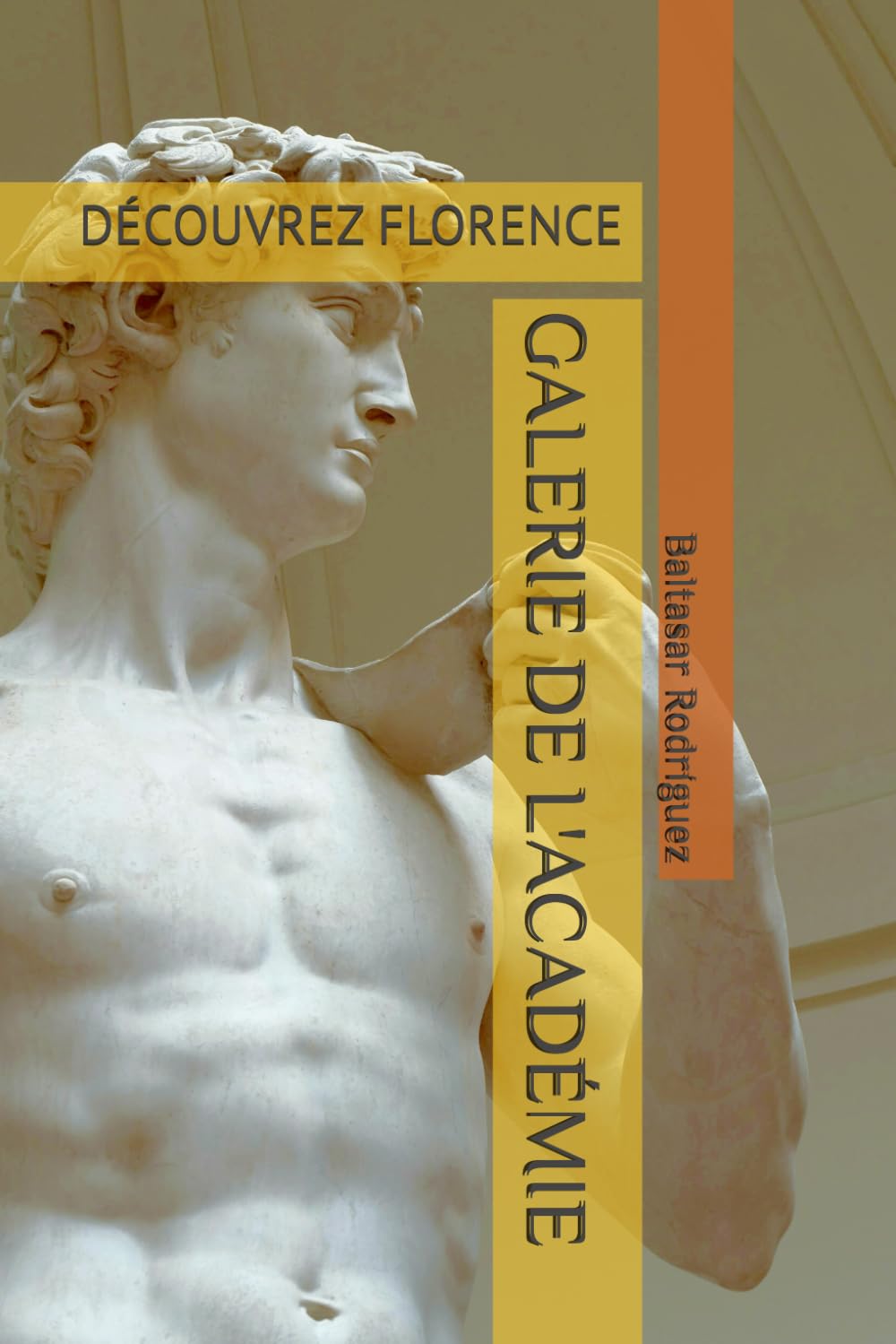 GALERIE DE L'ACADÉMIE: DÉCOUVREZ FLORENCE (GRANDS MUSÉES D'EUROPE) (French Edition) baixar o livro de graça