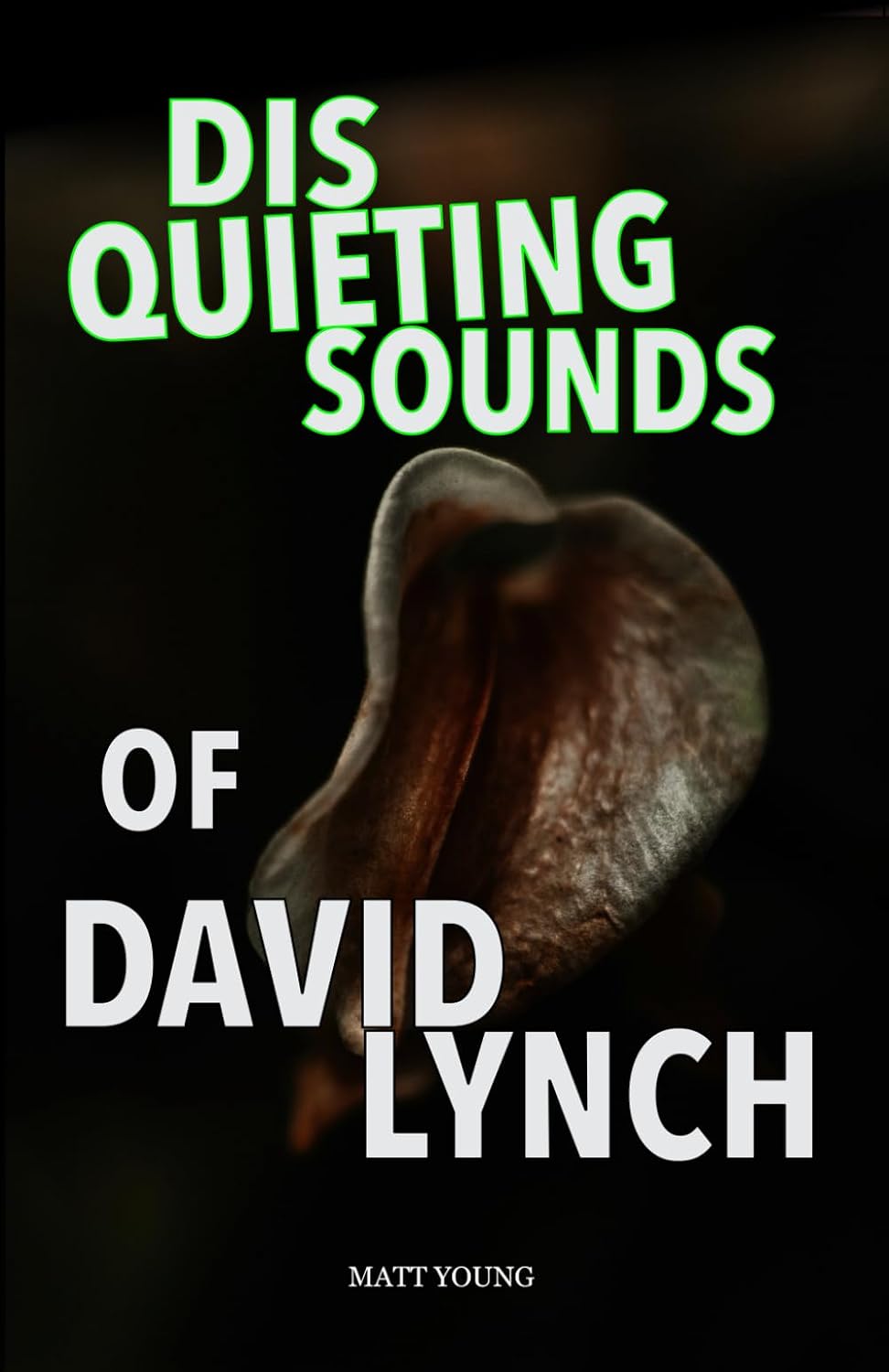 Disquieting Sounds of David Lynch baixar o livro de graça