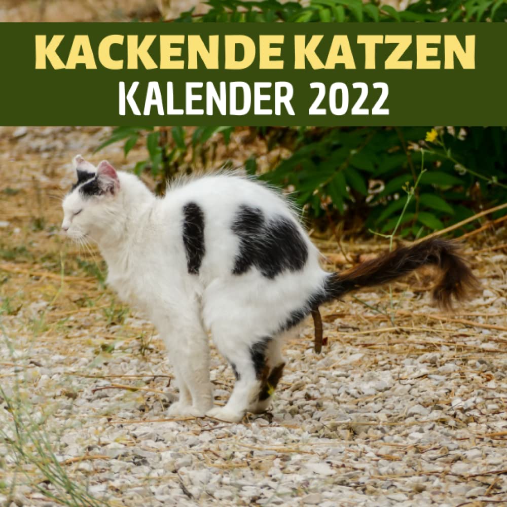 ler totalmente Kackende Katzen Kalender: 12 Monate | Lustige geschenke für männer, Frauen, Freunde, Kollegen, Familienmitglied, Tierliebhaber, Kinder, Büro, Katzenliebhaber Geschenkidee (German Edition)