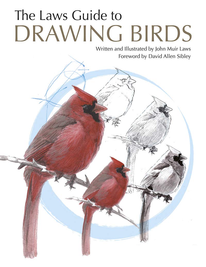 The Laws Guide to Drawing Birds (English Edition) baixar livro de graça