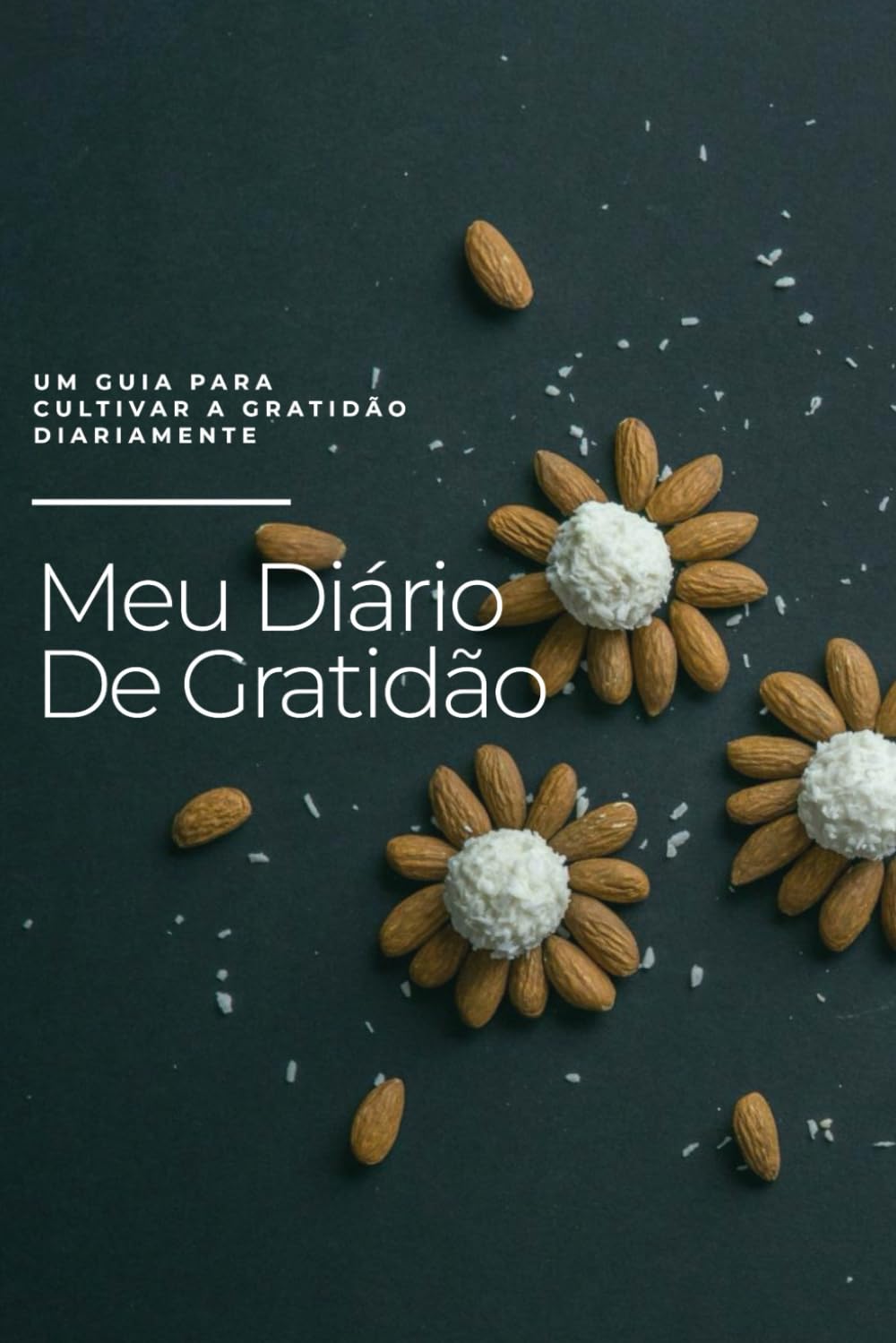 Meu diário da Gratidão! (Portuguese Edition) baixar livro de graça