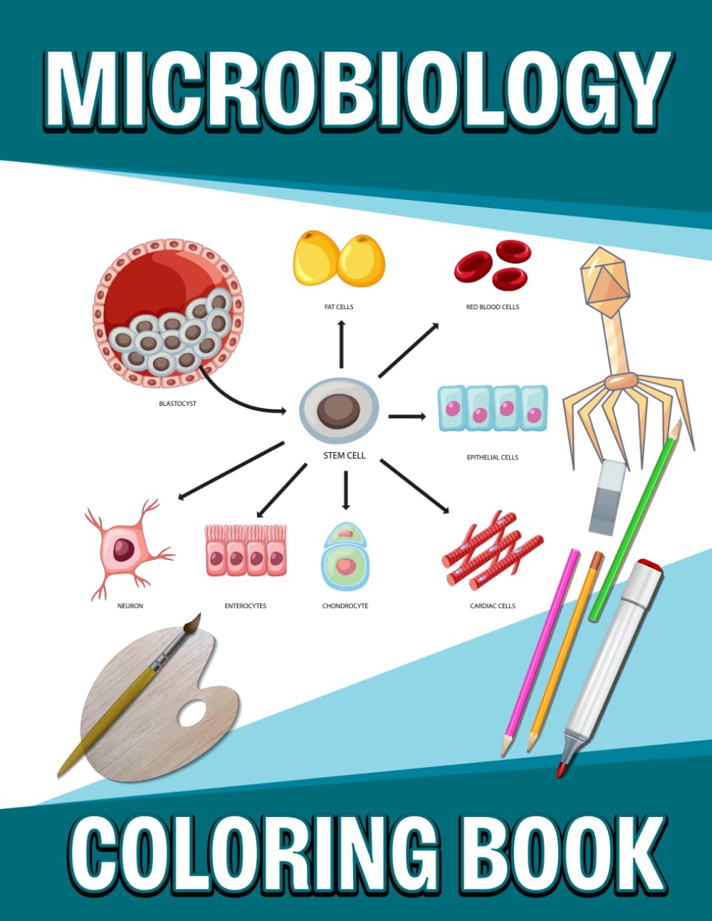 Microbiology Coloring Book: Educational microbiology coloring workbook presenting illustrations of bacteria viruses fungi and cells for classroom learning and student study baixar o livro de graça