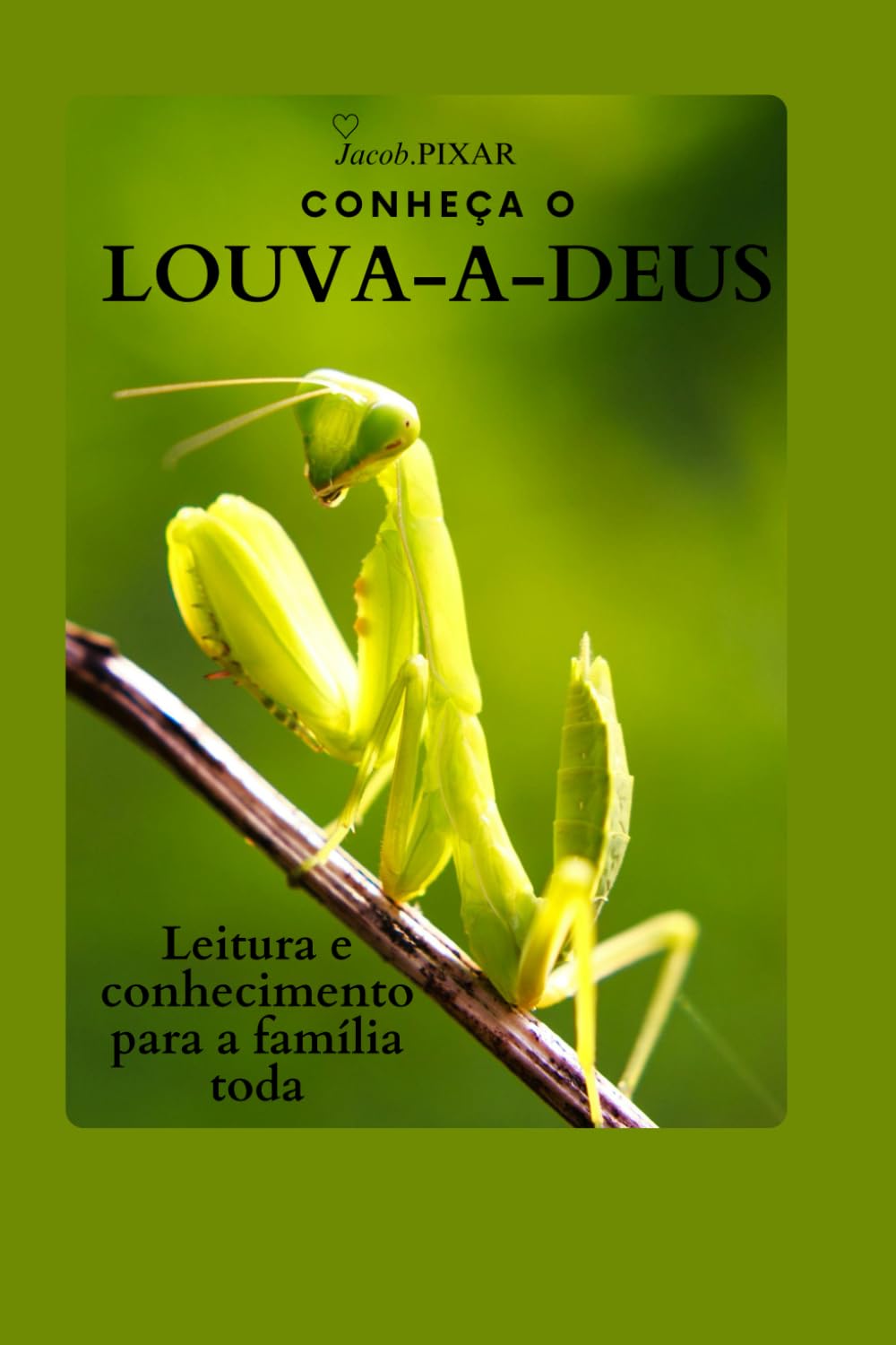 LOUVA-A-DEUS: APRENDA TUDO SOBRE ELE (ANIMAIS) (Portuguese Edition) baixar o livro de graça