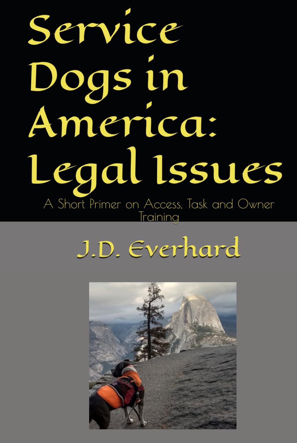 Service Dogs in America: Legal Issues: A Short Primer on Access, Task and Owner Training baixar livro de graça