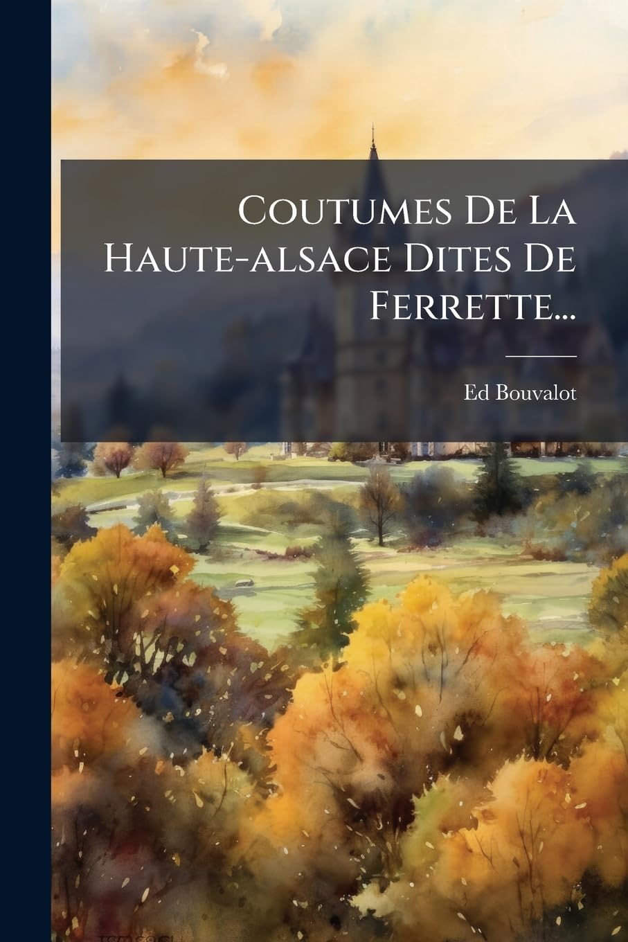 Coutumes De La Haute-alsace Dites De Ferrette... baixar livro de graça