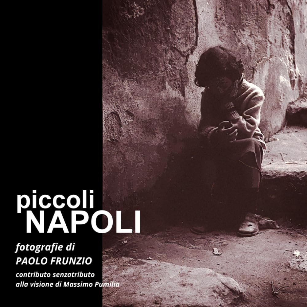 capítulo por capítulo baixar PICCOLI NAPOLI (Italian Edition)
