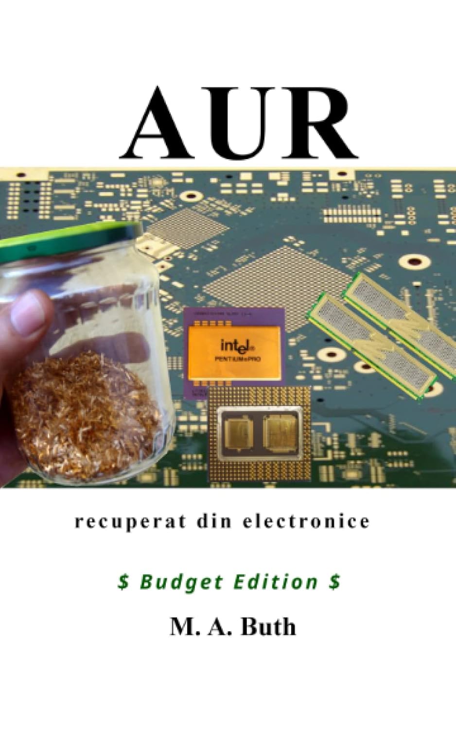 capítulo por capítulo baixar Aur recuperat din electronice (Budget Edition) (German Edition)