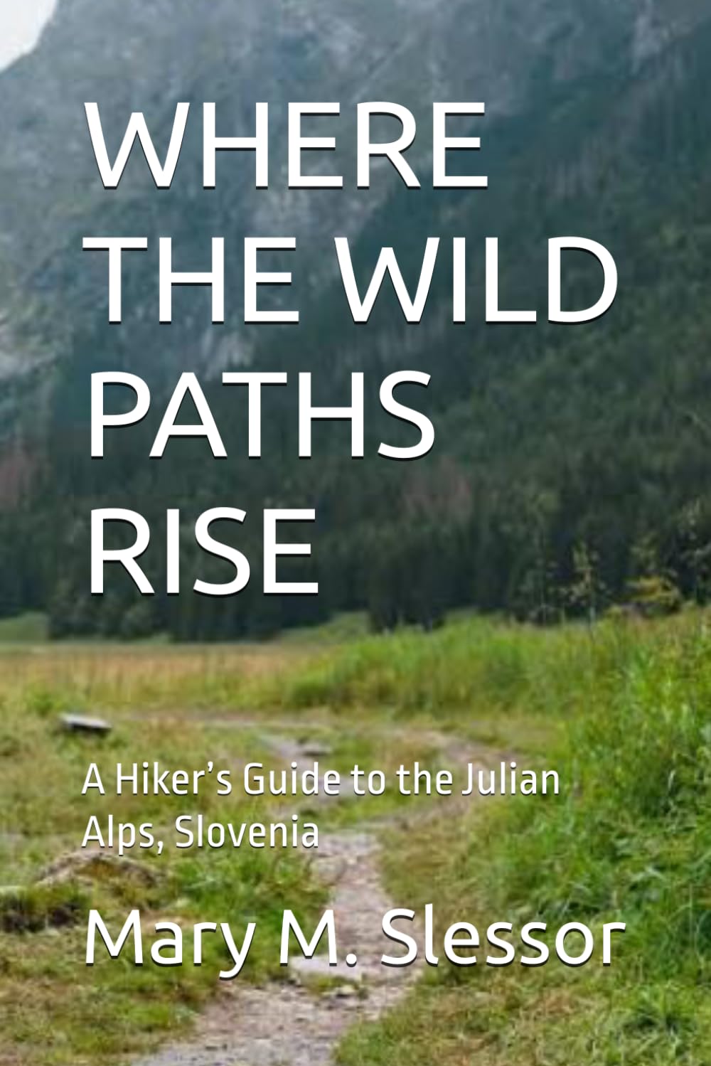 Where the Wild Paths Rise: A Hiker's Guide to the Julian Alps, Slovenia baixar o livro de graça