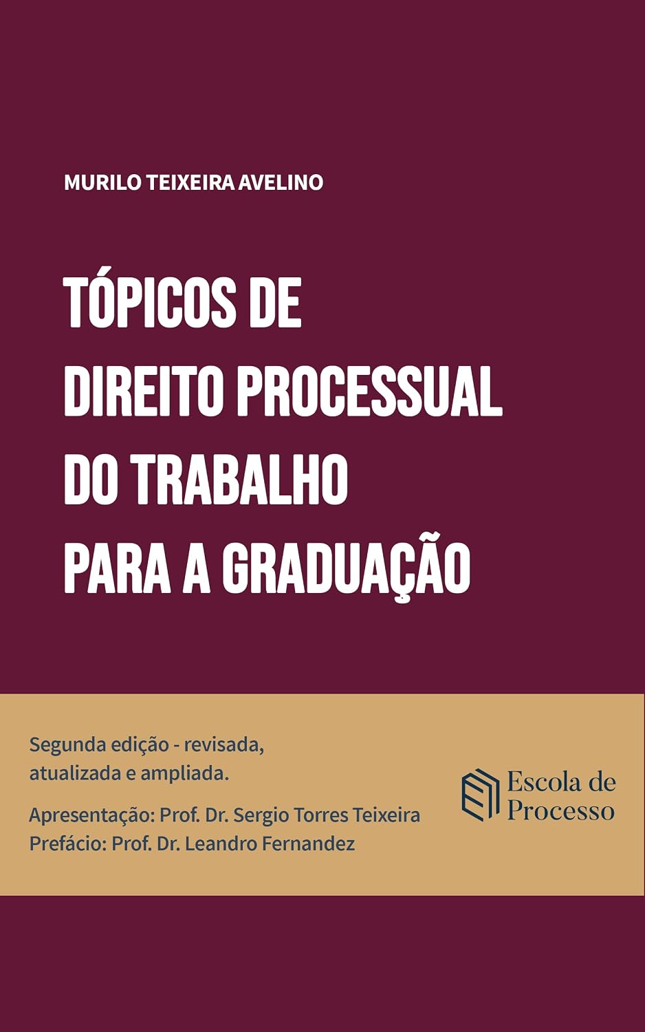 Tópicos de Direito Processual do Trabalho para a Graduação
