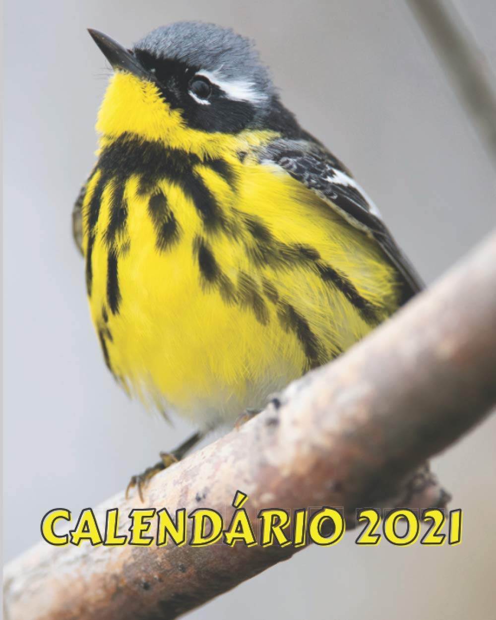 Calendário 2021: Segunda-feira a Domingo Mensal 2021 Livro de Calendário com Imagens de Pássaros Bonitos baixar o livro de graça